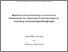 [thumbnail of Bernauer_Tamara.pdf]